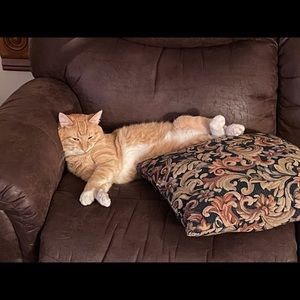 Meet your Posher, Debbie